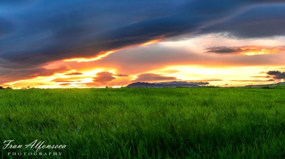 paisaje posta del sol en campo muy verde cielo con nubes color anaranjado
