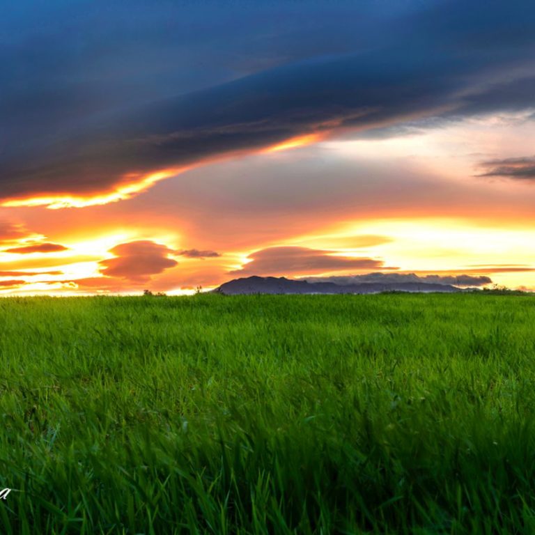 paisaje posta del sol en campo muy verde cielo con nubes color anaranjado