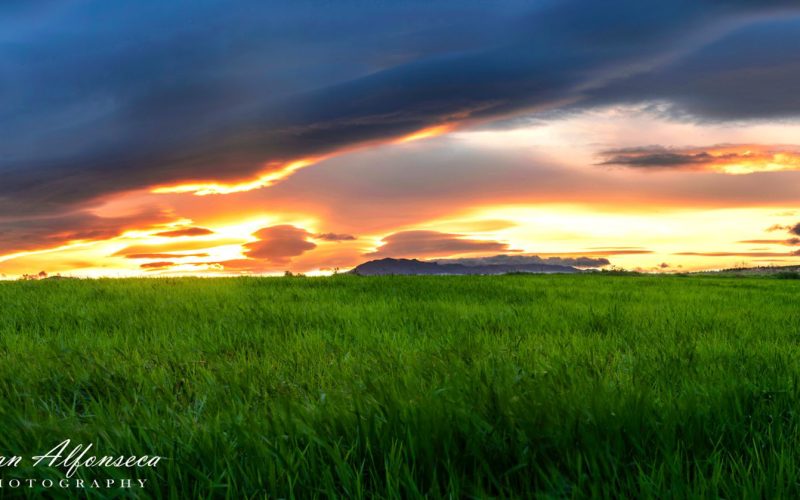 paisaje posta del sol en campo muy verde cielo con nubes color anaranjado