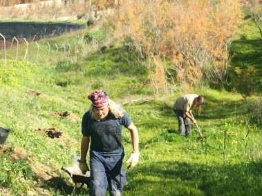 Foto personas trabajando en el campo