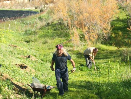 Foto personas trabajando en el campo