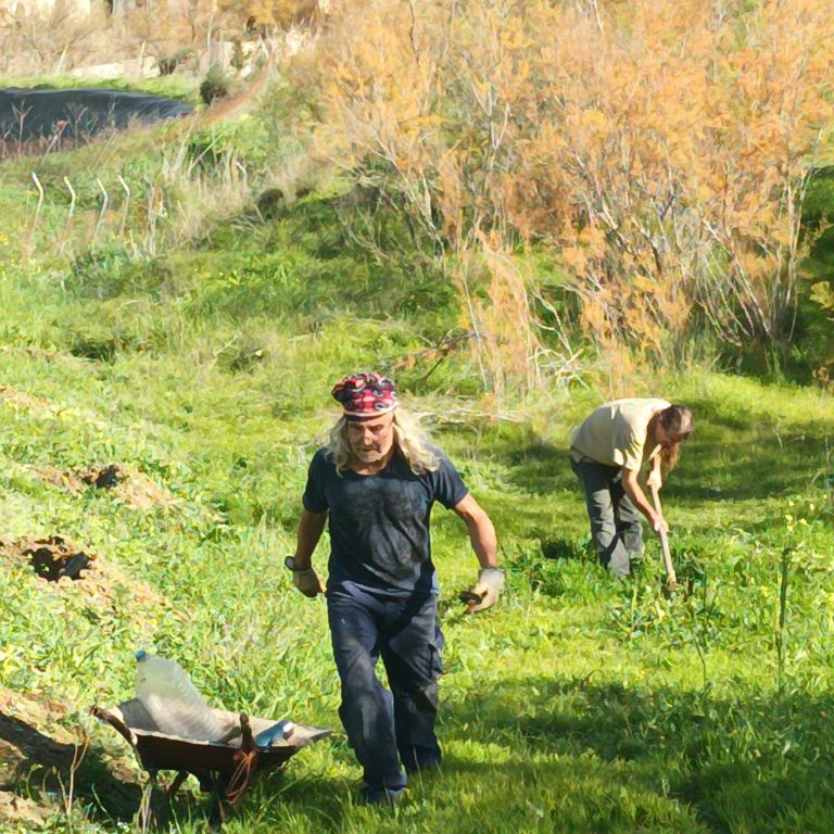 Foto personas trabajando en el campo