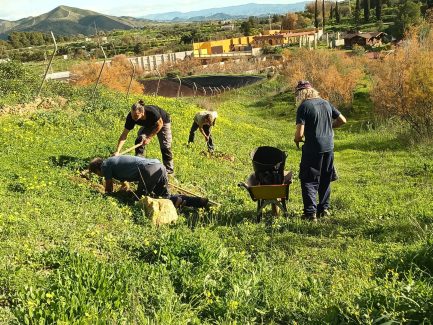 Foto personas trabajando en el campo