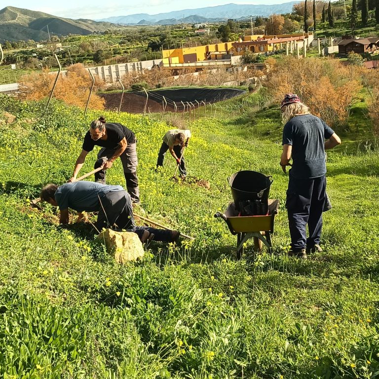 Foto personas trabajando en el campo