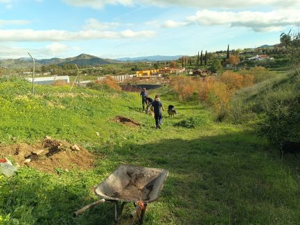 Foto personas trabajando en el campo