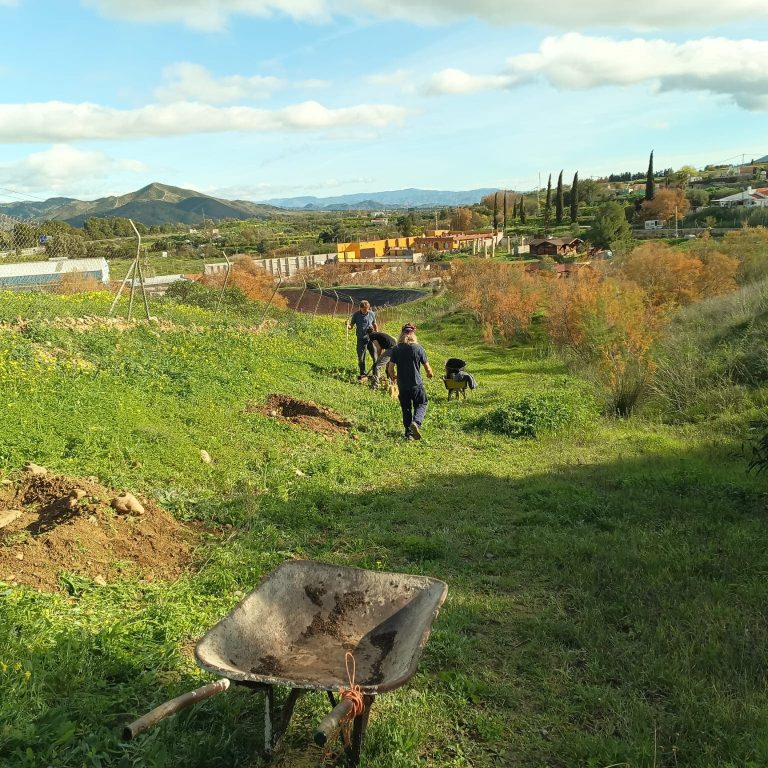 Foto personas trabajando en el campo